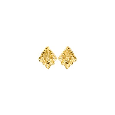 Boucles d'oreilles en acier pvd doré