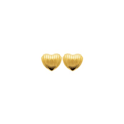 Boucles d'oreilles en acier pvd doré