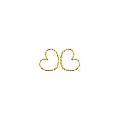Boucles d'oreilles en acier pvd doré