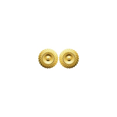 Boucles d'oreilles en acier pvd doré