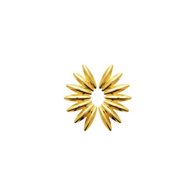 Boucles d'oreilles en acier pvd doré