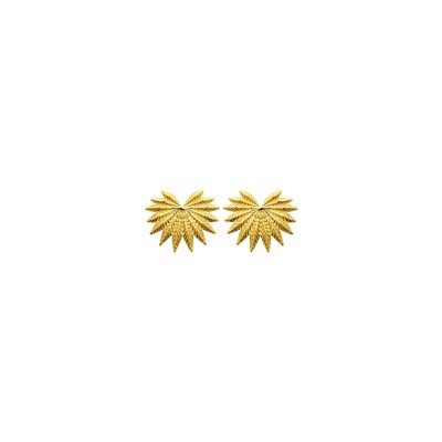 Boucles d'oreilles en acier pvd doré