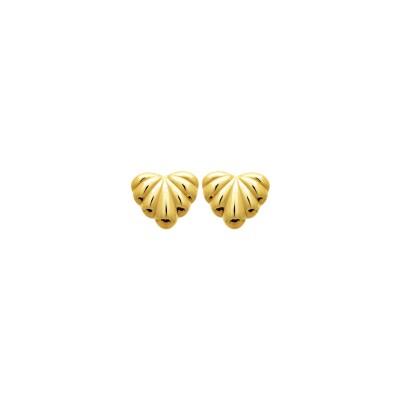 Boucles d'oreilles en acier pvd doré