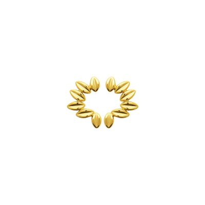 Boucles d'oreilles en acier pvd doré