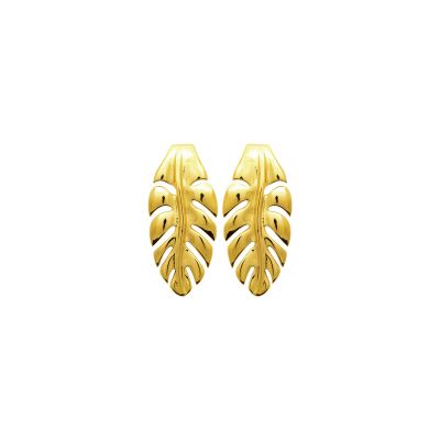Boucles d'oreilles en acier pvd doré