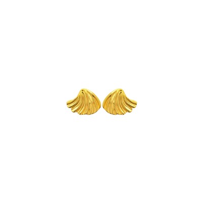Boucles d'oreilles en acier pvd doré