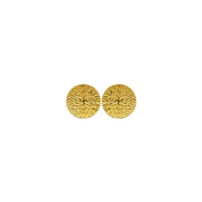 Boucles d'oreilles en acier pvd doré
