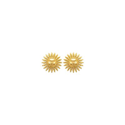 Boucles d'oreilles en acier pvd doré