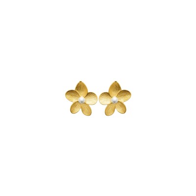 Boucles d'oreilles en acier pvd doré et perle d'imitation