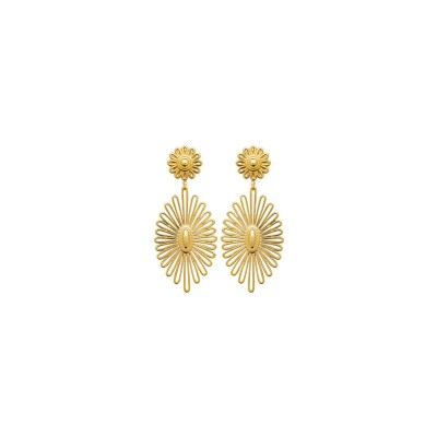 Boucles d'oreilles en acier pvd doré