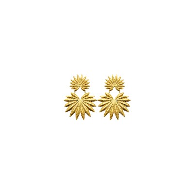 Boucles d'oreilles en acier pvd doré
