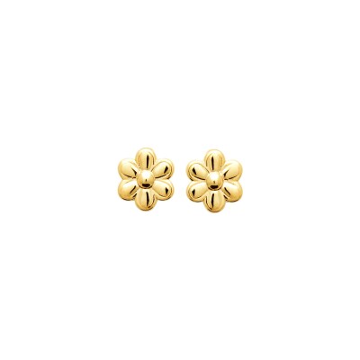 Boucles d'oreilles en plaqué or
