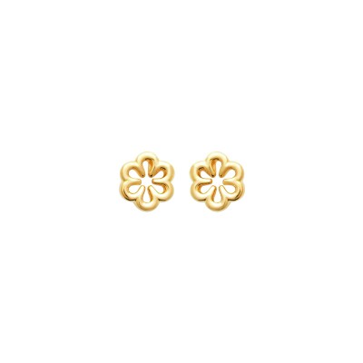 Boucles d'oreilles en plaqué or