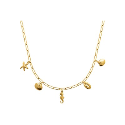 Collier en acier pvd doré