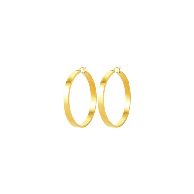 Boucles d'oreilles créoles en acier pvd doré