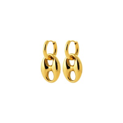 Boucles d'oreilles créoles en acier pvd doré
