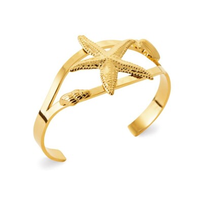 Bracelet jonc en acier pvd doré