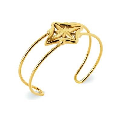 Bracelet jonc en acier pvd doré
