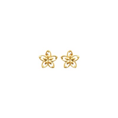 Boucles d'oreilles en plaqué or