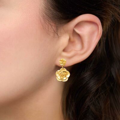 Boucles d'oreilles en acier pvd doré