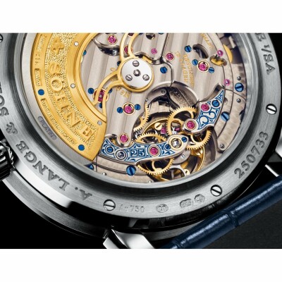 A. Lange & Söhne Lange 1 Tourbillon Perpetual calendar watch, 25th anniversary