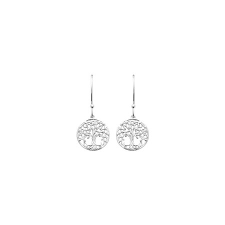 Boucles d'oreilles en argent 