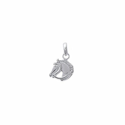 Pendentif en argent rhodié