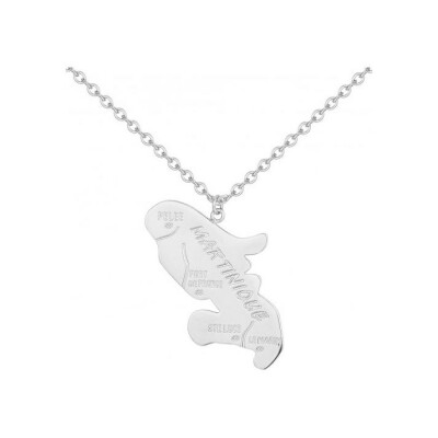 Collier Phebus en acier