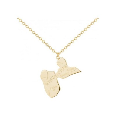 Collier Phebus en acier et PVD