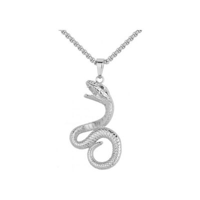 Collier Phebus en acier