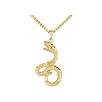 Collier Phebus en acier et PVD