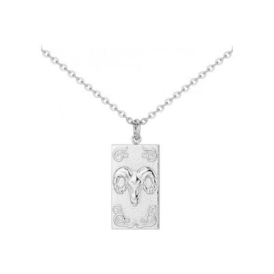 Collier en acier - 50+10cm