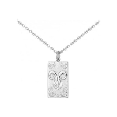 Collier en acier - 50+10cm
