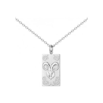 Collier en acier - 50+10cm