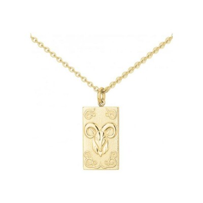 Collier en acier pvd doré - 50+10cm
