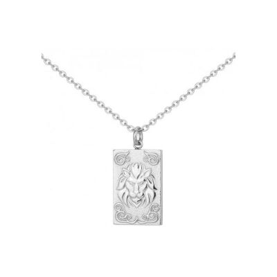 Collier en acier - 50+10cm