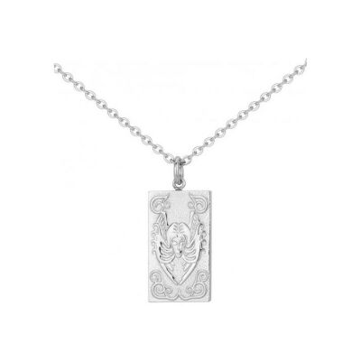 Collier en acier - 50+10cm