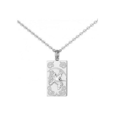 Collier en acier - 50+10cm