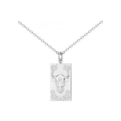 Collier en acier - 50+10cm
