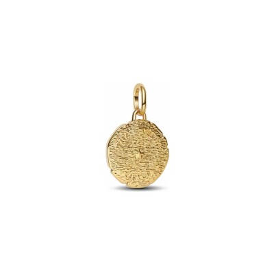 Charm Pandora Médaillon Lion en métal doré