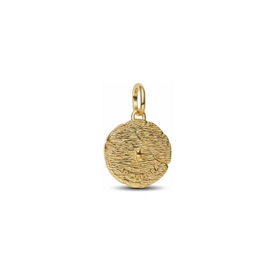 Charm Pandora Médaillon Flèches Entrecroisées en argent, métal doré et oxyde de zirconium