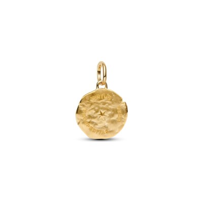 Charm Pandora Talisman Épi de Blé Doré en métal doré et oxyde de zirconium