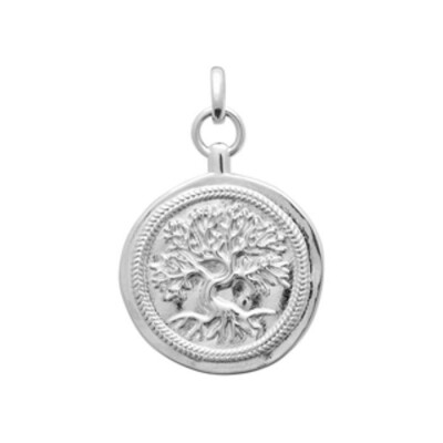 Pendentif en argent rhodié