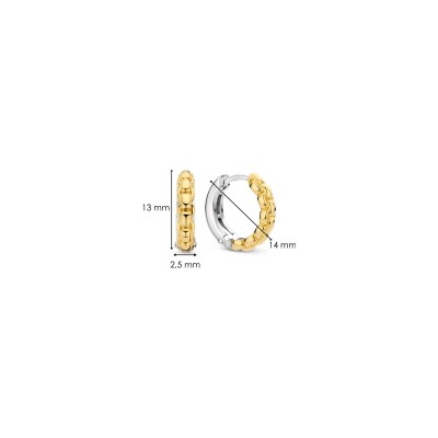 Boucles d'oreilles Ti Sento en argent doré et argent plaqué platine