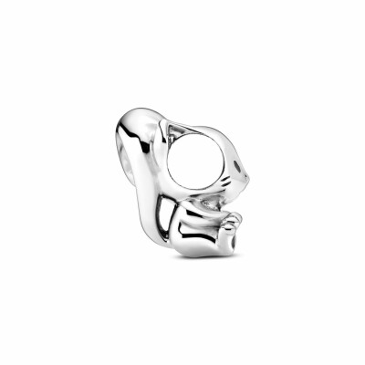 Charm Pandora Passions écureuil adorable en argent