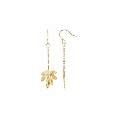 Boucles d'oreilles Phebus en acier