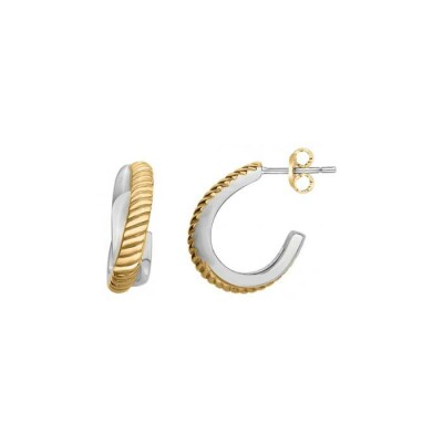 Boucles d'oreilles Phebus en acier