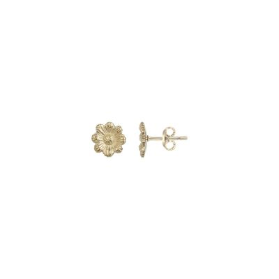 Boucles d'oreilles Phebus en acier