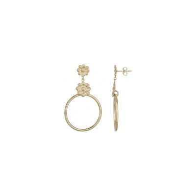 Boucles d'oreilles Phebus en acier