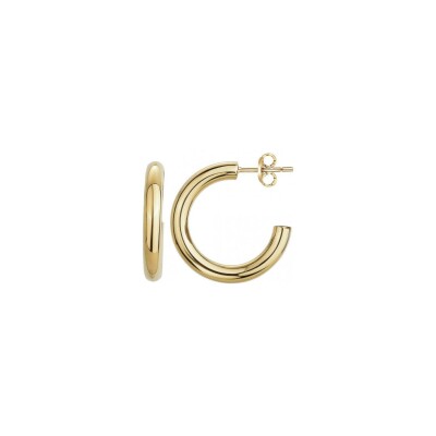Boucles d'oreilles Phebus en acier et PVD